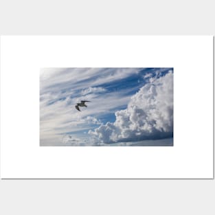 White seagull flying in bright blue sky Posters and Art